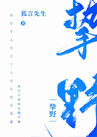 挚野丁墨小说