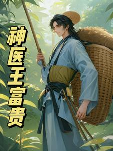 神医王怀远电视剧全集